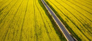 Firma transportowa Szczecin